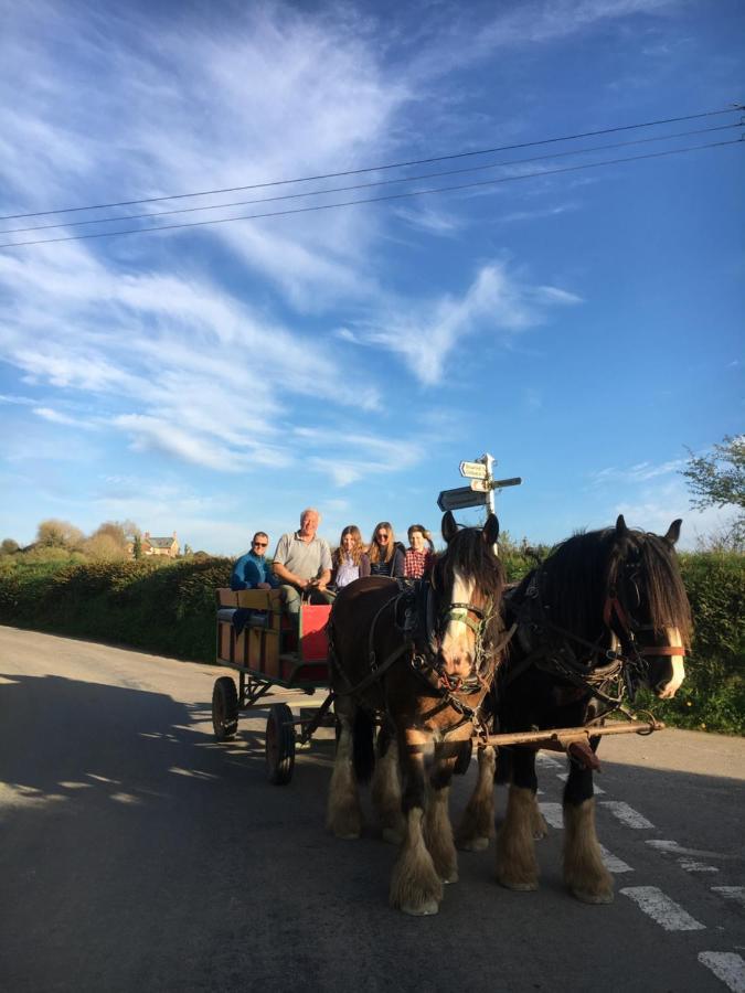 Higher Biddacott Farm Chittlehampton Buitenkant foto