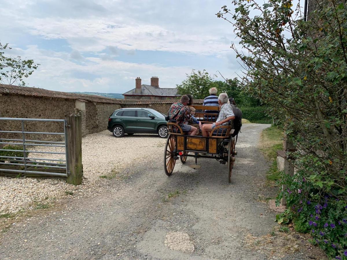 Higher Biddacott Farm Chittlehampton Buitenkant foto