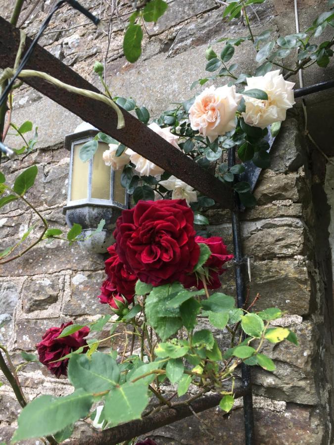 Higher Biddacott Farm Chittlehampton Buitenkant foto